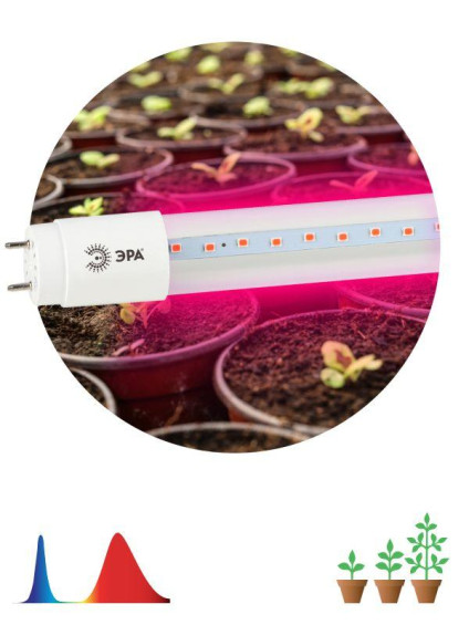 Лампа светодиодная FITO-9W-RB-Т8-G13-NL 9Вт T8 линейная 48LED 2835 IP20 35000ч для растений красн./син. спектр стекло Эра Б0042986